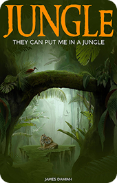 Published book